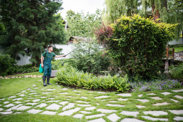 Best Affordable Pest Control Services  in Grimes, IA