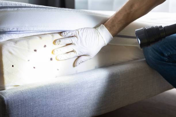 Pest Control Cost in Grimes, IA