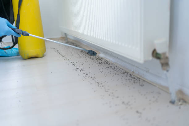 Best Mosquito Control Services  in Grimes, IA